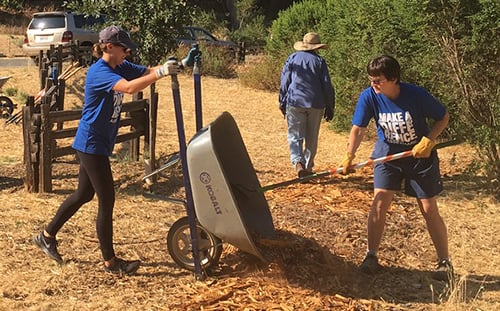 wheelbarrow 