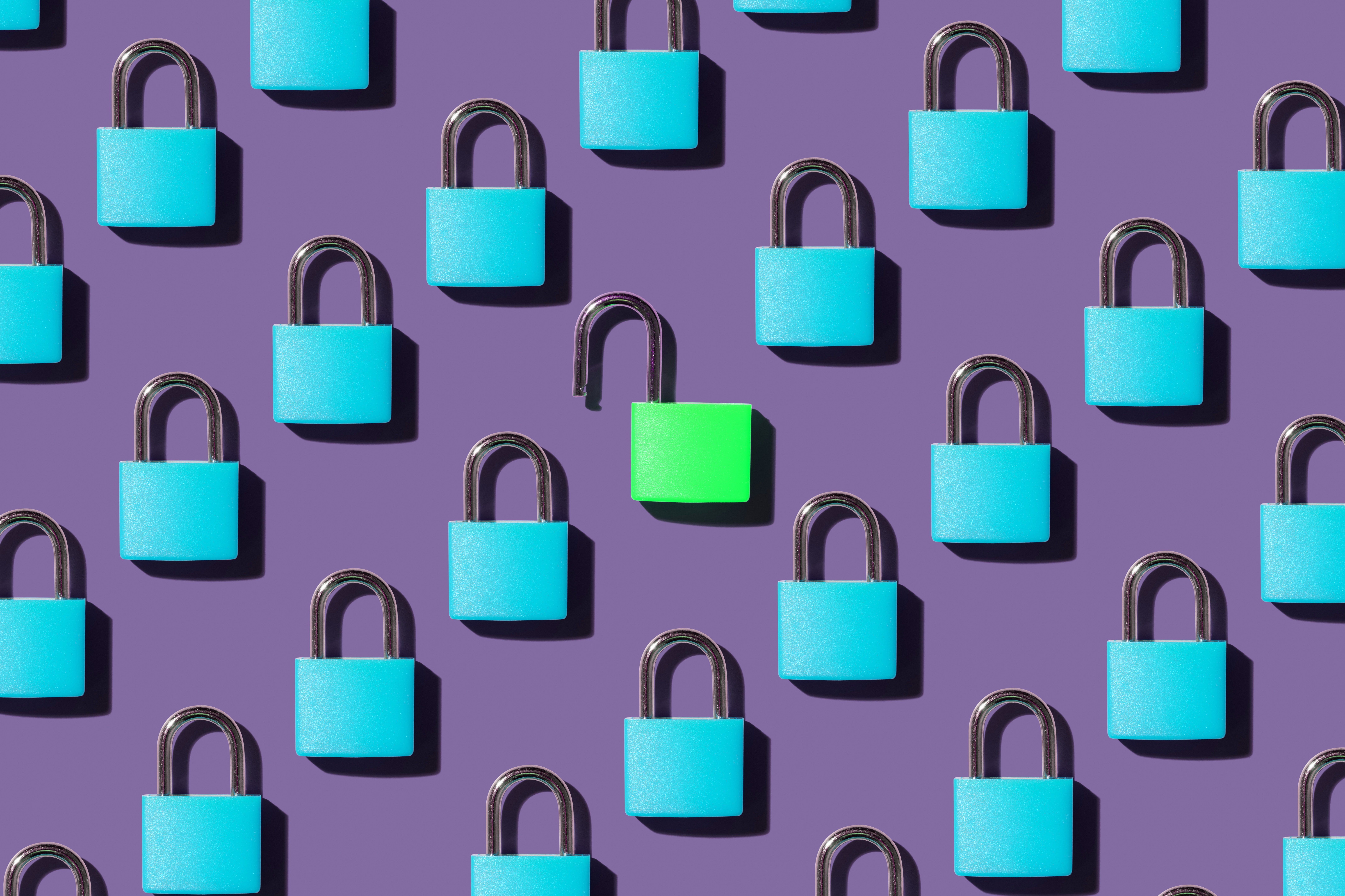 Private Markets 101. Unlocked.